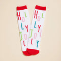 Holiday Fuzzy Socks Set of 4