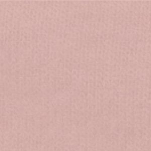 Hacci Jersey Raglan Longsleeve Top by TENLY