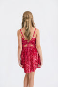 The Sydney Dress in Pink by Miss Behave
