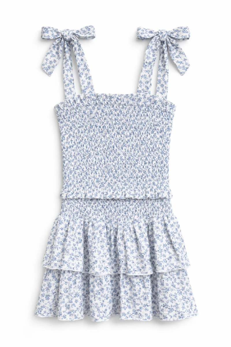 Juniors Emerson Dress in Blue Toile by Katie J NYC