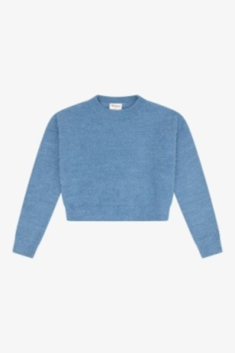 Sherpa Crew Neck Sweater By Tenly