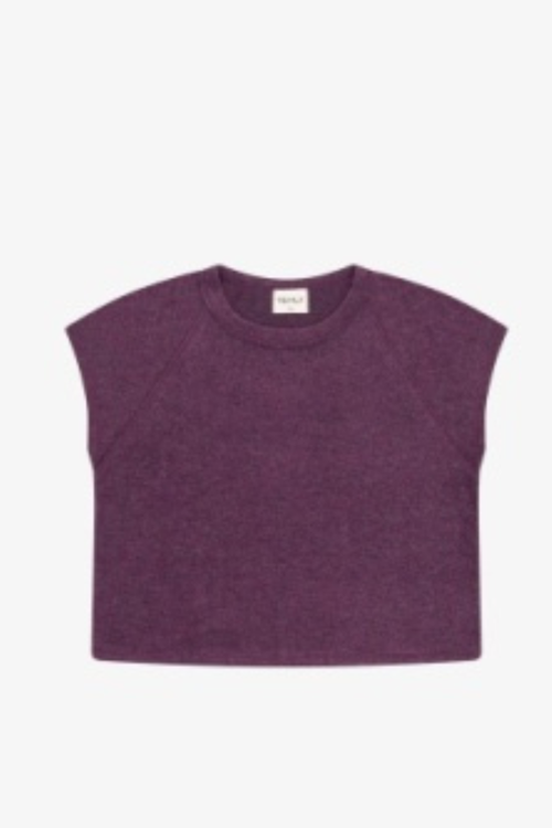 Hacci Jersey Sleeveless Ragland Tee in PLUM By TENLY