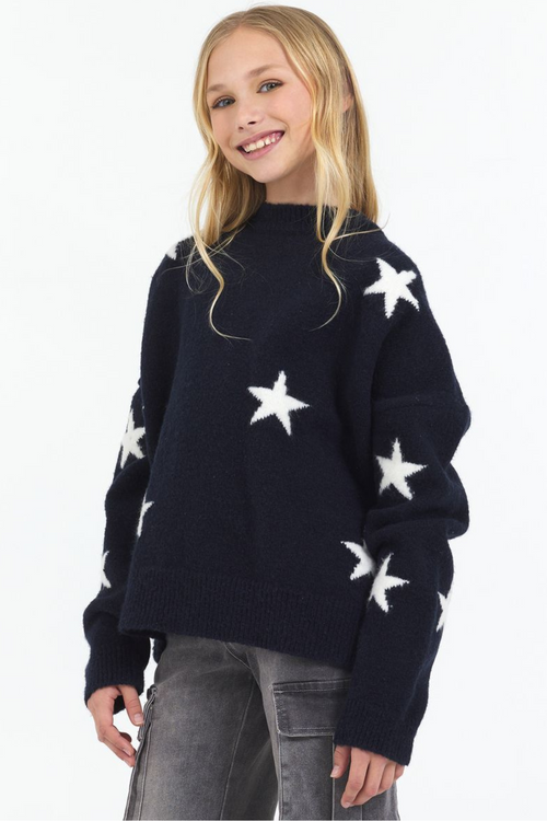 Star Printed Knit Sweater