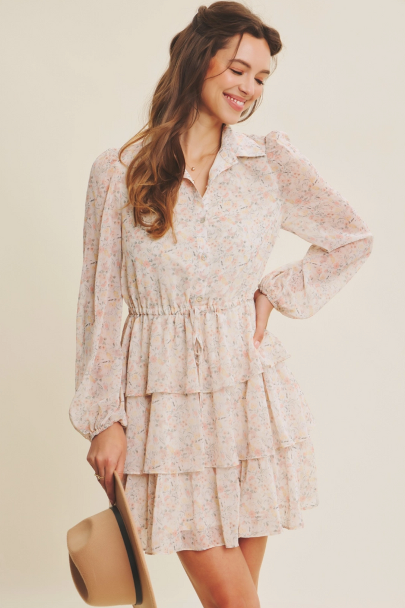 Catherine Button-Down Mini Dress