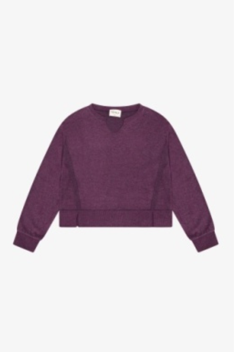 Hacci Jersey Cropped Split Neck Tunic in Plum By TENLY