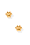 Gold Paw Screwback Earring by Linny Co