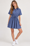 Mini Stripe Shirt Dress
