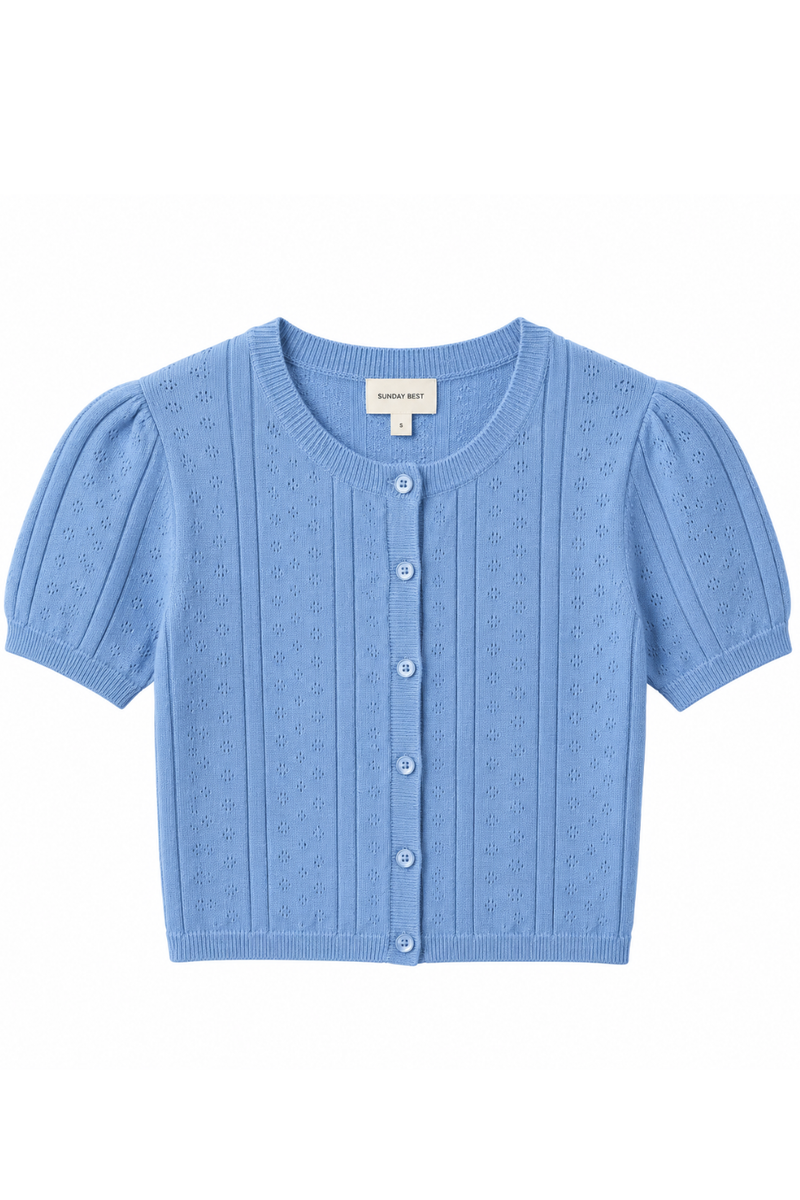 Button Down Pointelle Sweater Top
