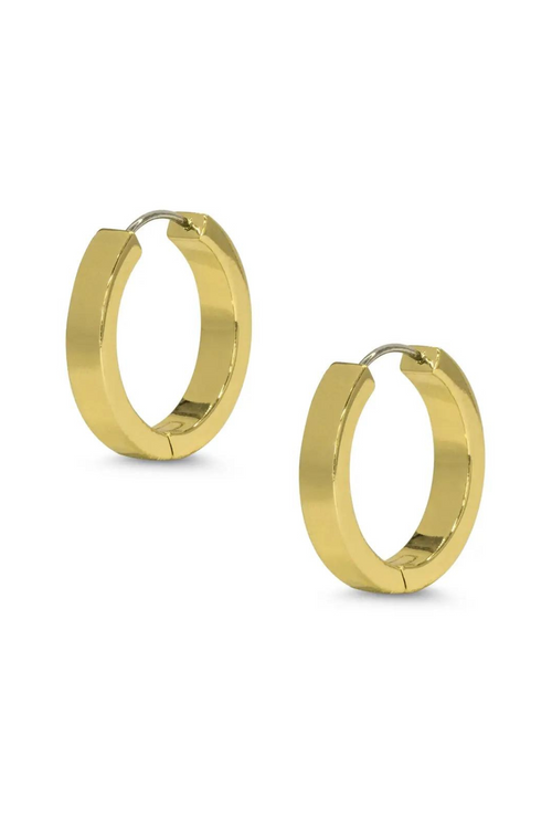 Medium Flat Hoop Earrings by Lily Nily