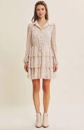 Catherine Button-Down Mini Dress