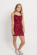 Rachael Sequin Mini Dress