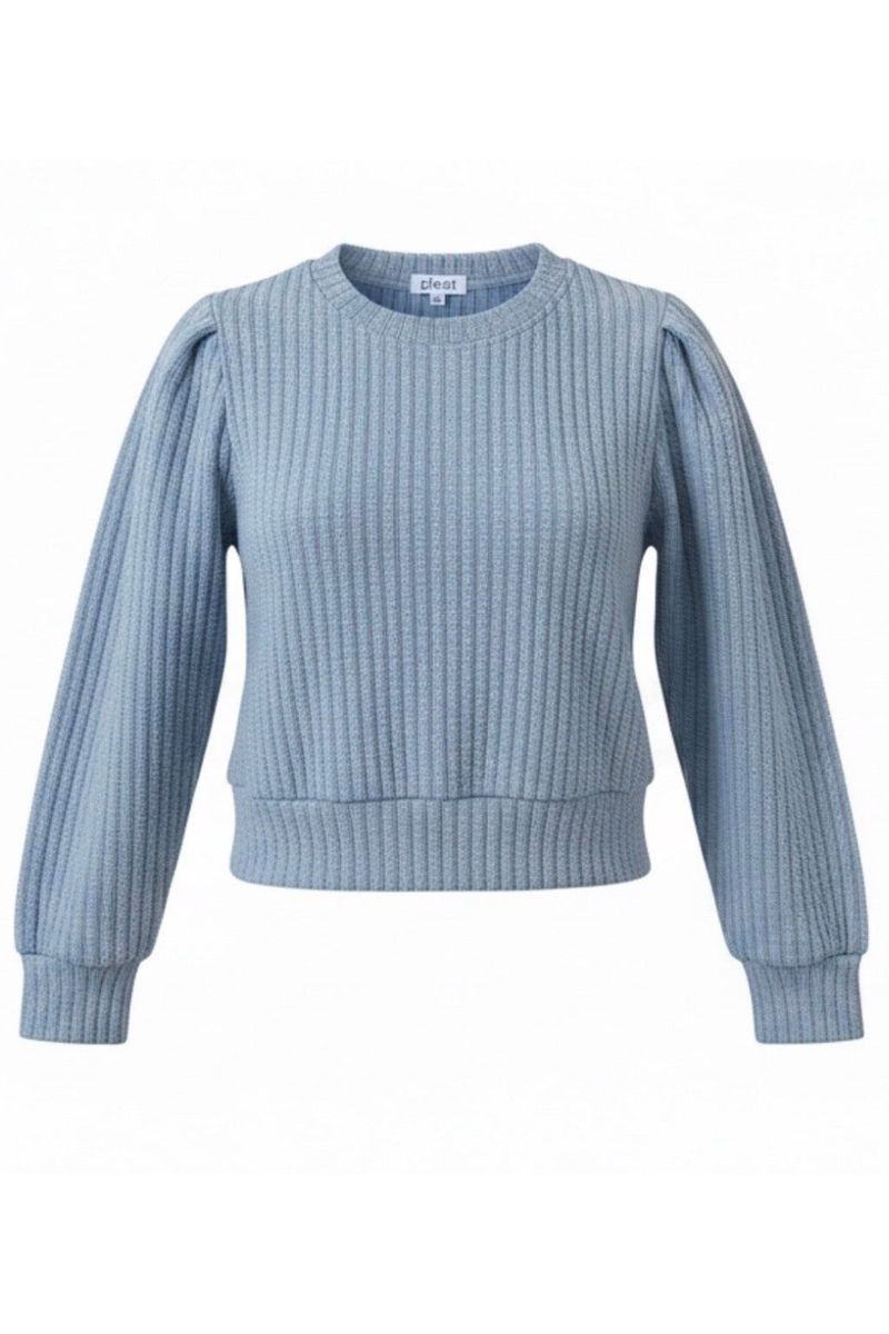 The Jane Sweatshirt in French Blue by PLEAT
