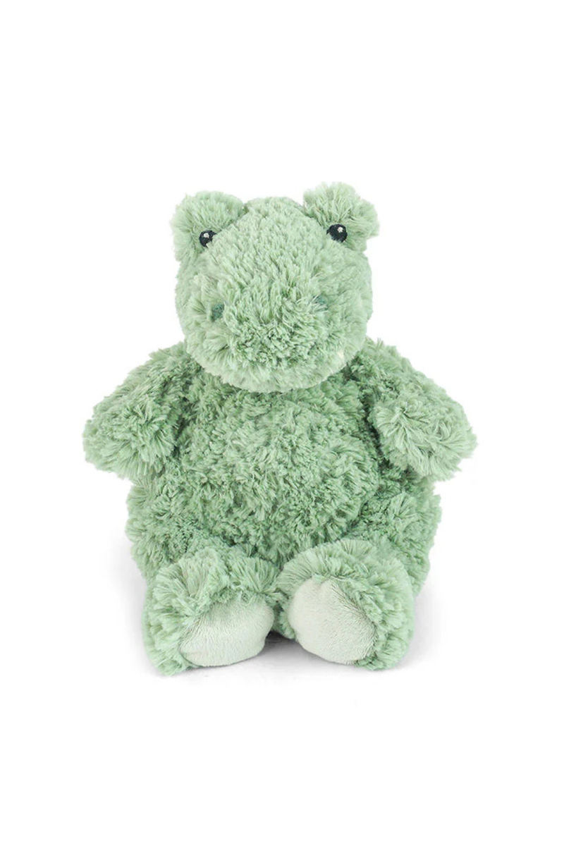 Ali Alligator By Mon Ami